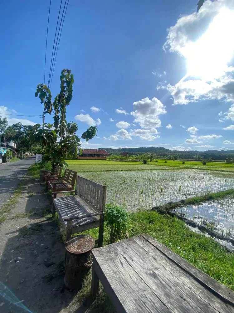 Dijual Tanah View Sawah di Kasongan Bangunjiwo Cocok untuk Villa