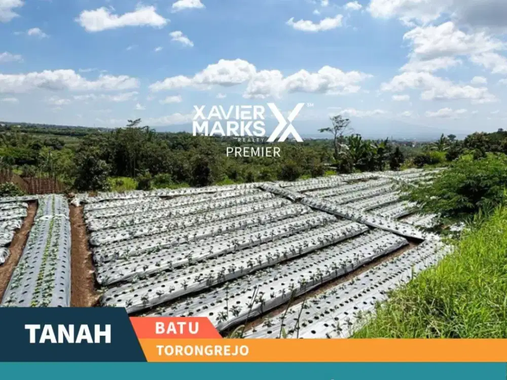 Dijual Cepat Tanah Luas Area Pertanian di Torongrejo Kota Batu