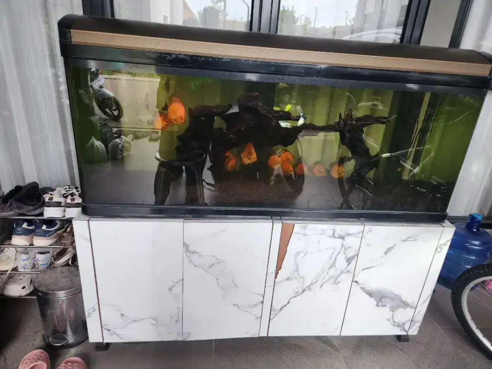 Jual Murah BU Full set Aquarium Bending / Curved Glass Aquarium