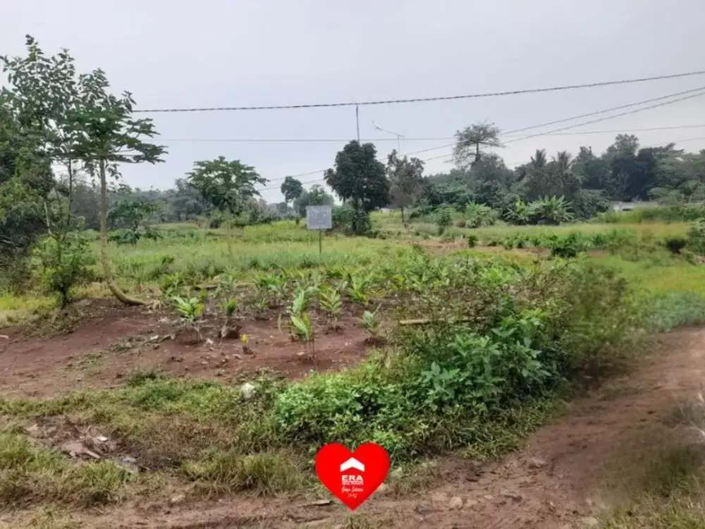Tanah Luas 2900 di Desa Babakan, Tenjo, Bogor.