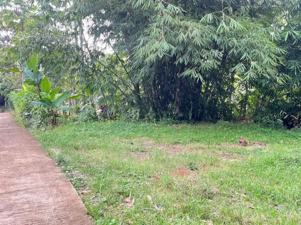 Tanah 408m2~ 150 Juta Karangpandan Karanganyar