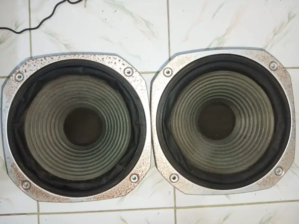Trio Kenwood 10inch speaker