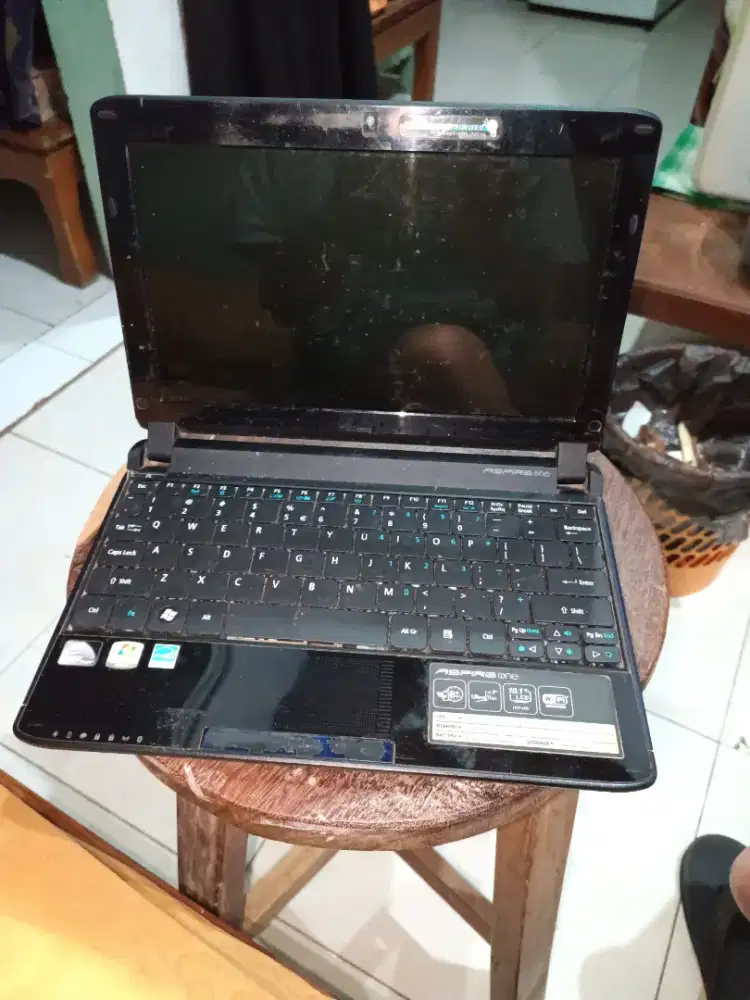 Acer Intel Atom Cpu N 450