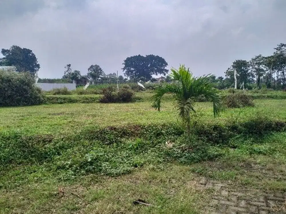 Legalitas Aman 180 Juta Dekat Exit Tol Pakis Tanah Kavling Murah