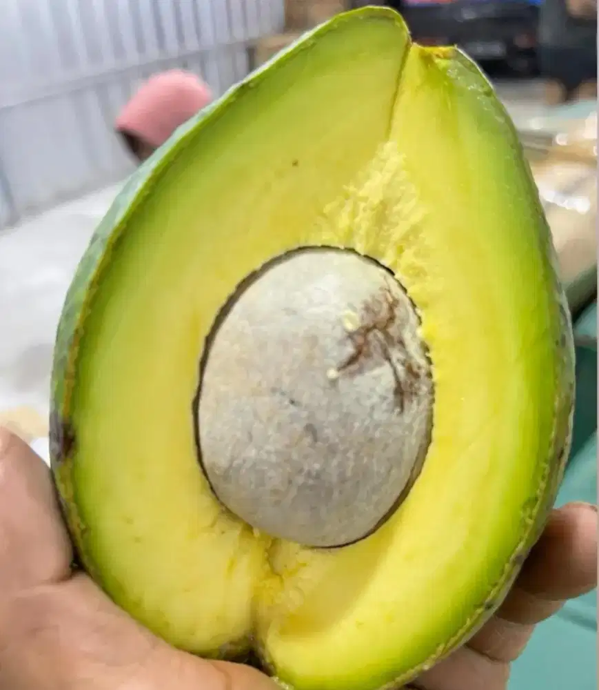 Loker ART Tidak Menginap