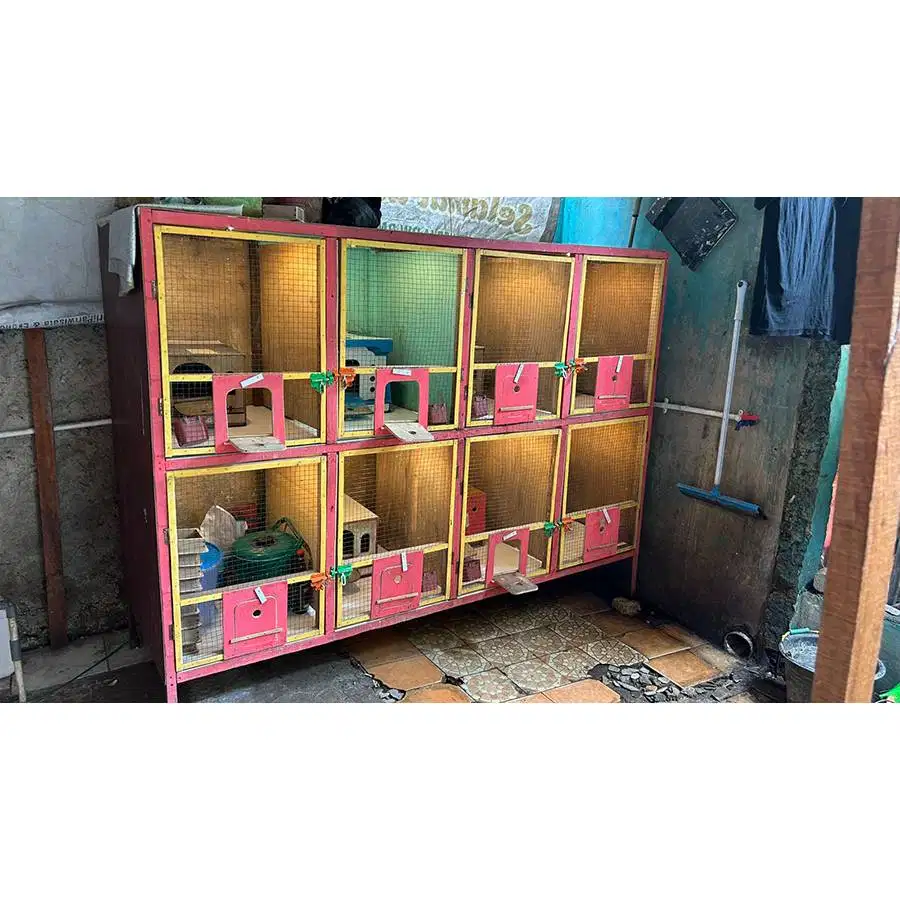KANDANG MACAN 8 PINTU UNTUK MERPATI