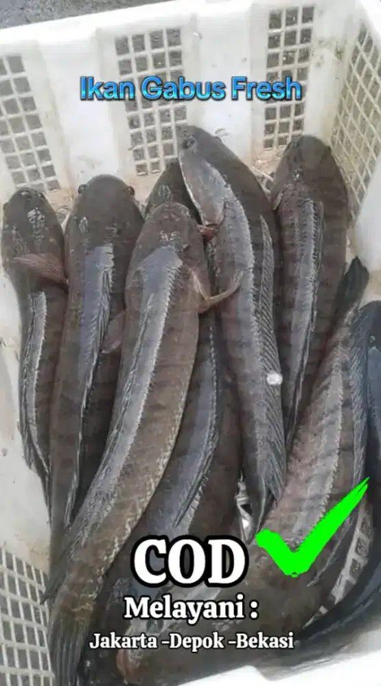 Hidangan sehat usai operasi