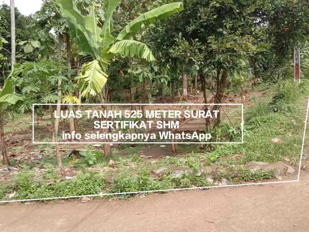 TANAH MURAH NEMPEL JALAN DESA HARGA NEGO COCOK BUAT INVESTASI DAN RUMAH TINGGAL LOKASI DI CISEENG PARUNG