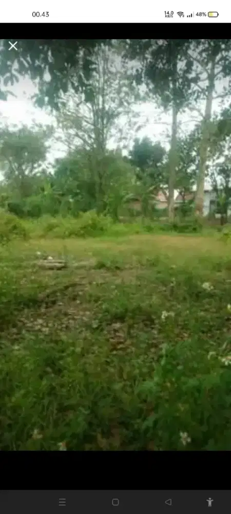 Tanah Kapling shm milik sendiri tinggal balik nama luas tanah 128 m