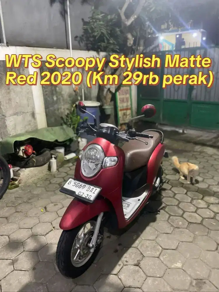Scoopy Stylish 2020