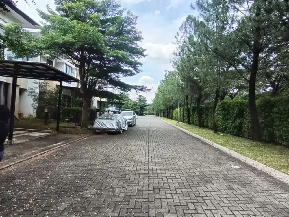 Rumah Bagus (9x20) Lokasi Prime di Ilustria - The Eminent BSD