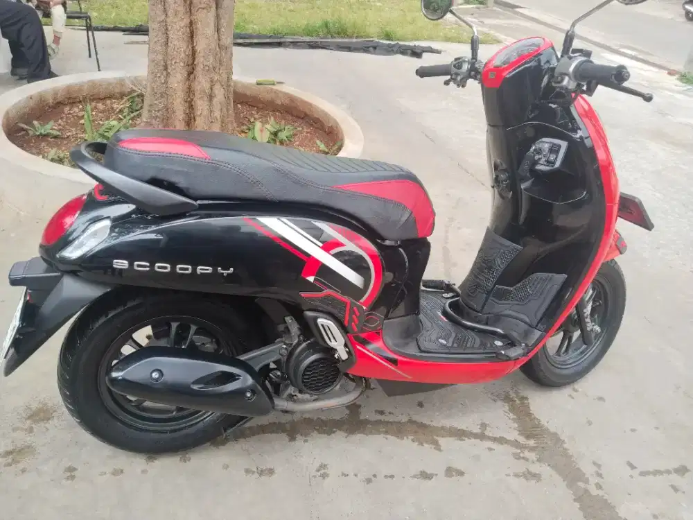 Scoopy Tahun 2024