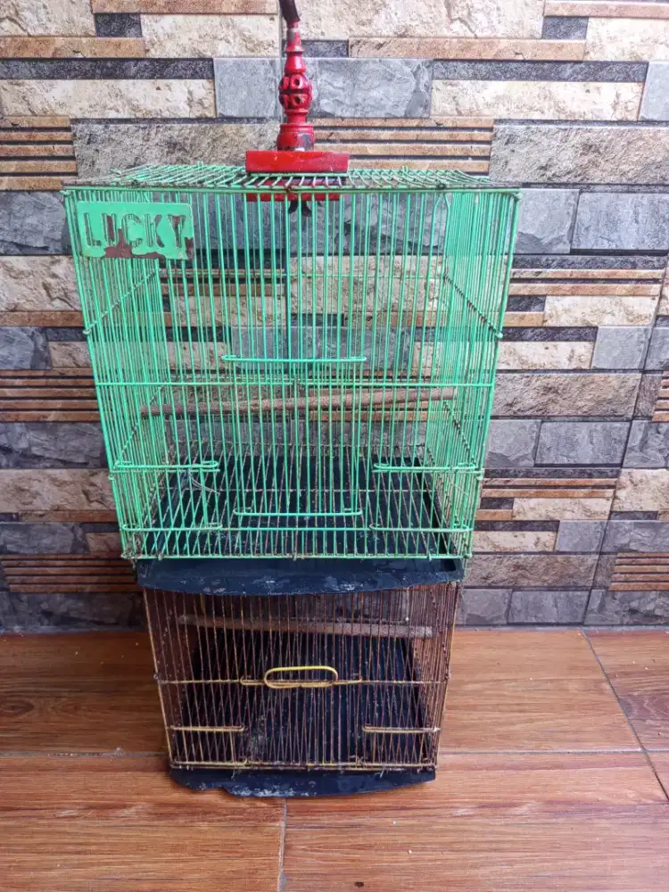 Kandang lovebird