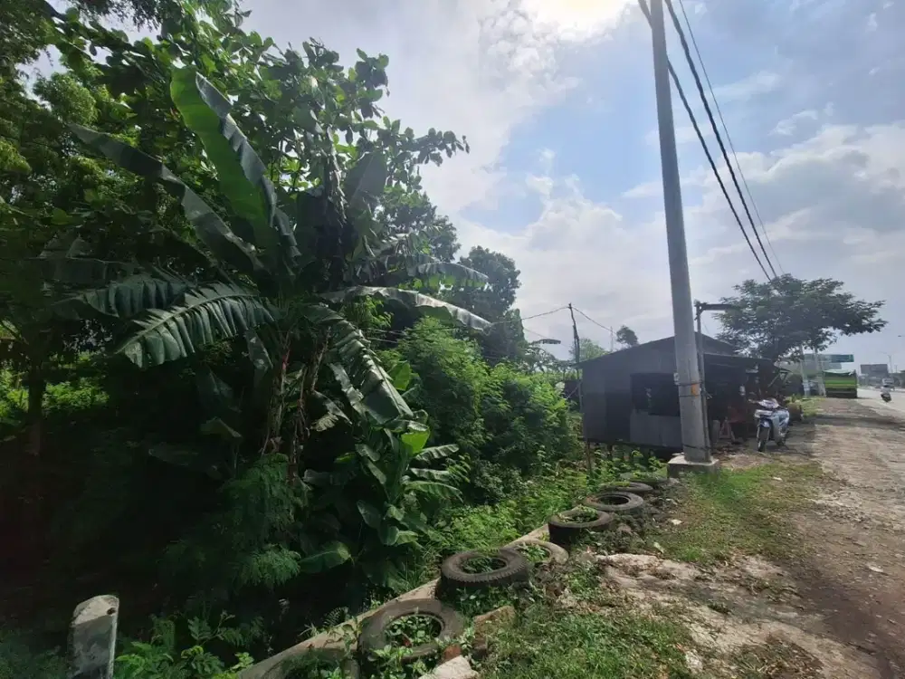 Dijual Tanah dengan Lebar Muka 370 Meter di Zona Kuning Petarukan, Pemalang