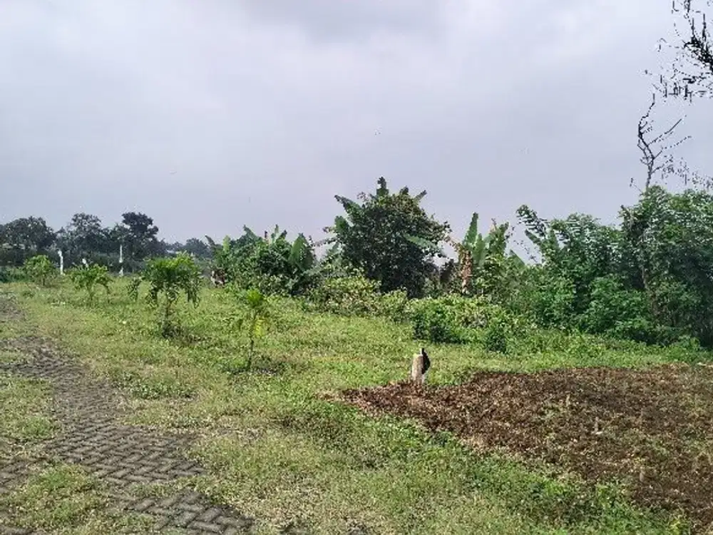 Dekat Exit Tol Pakis Tanah Kavling Murah 216 Juta Di Jual