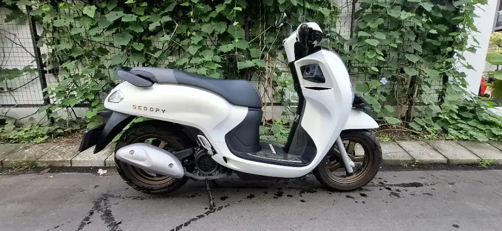Honda Scoopy tahun 2025
