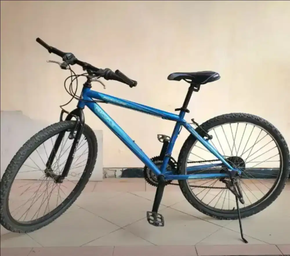 Sepeda MTB Wim Cycle size 16