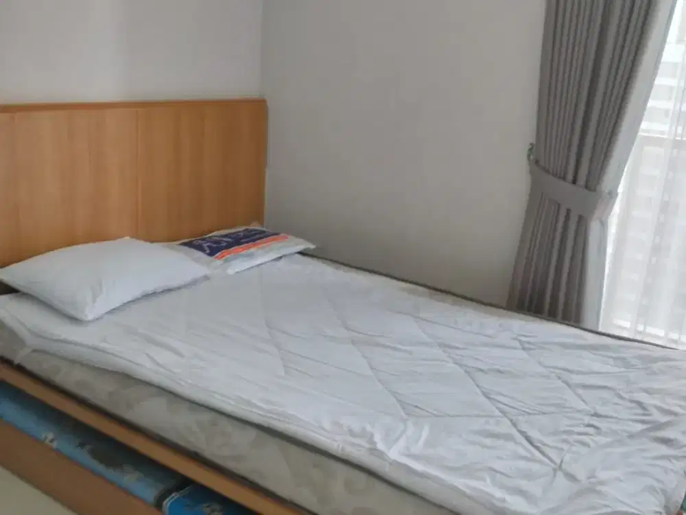 APARTEMEN GROGOL JAKARTA BARAT TIPE STUDIO TAMAN ANGGREK RESIDENCE