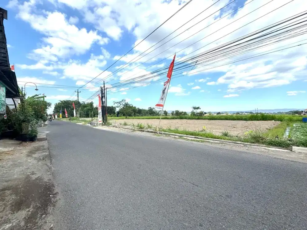 Prospek Bangun Usaha, Tanah Murah Tepi Jalan Aspal