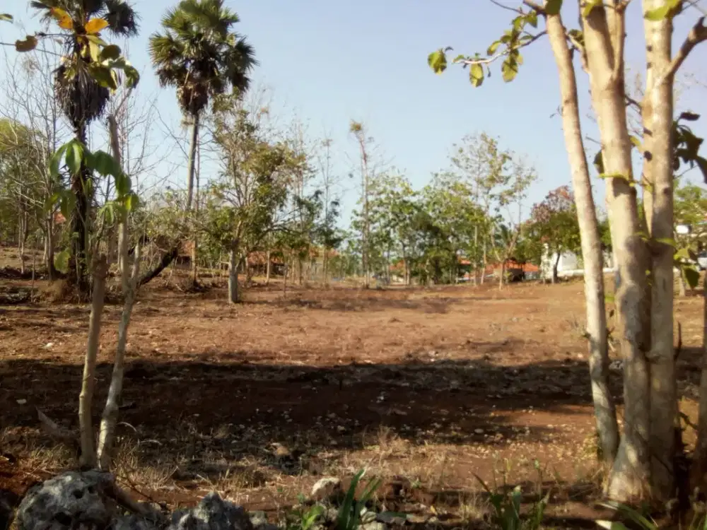 Tanah SHM 4.381 m² Dijual di Bungkeng Tanjung Bumi Bangkalan – Harga 585 Juta