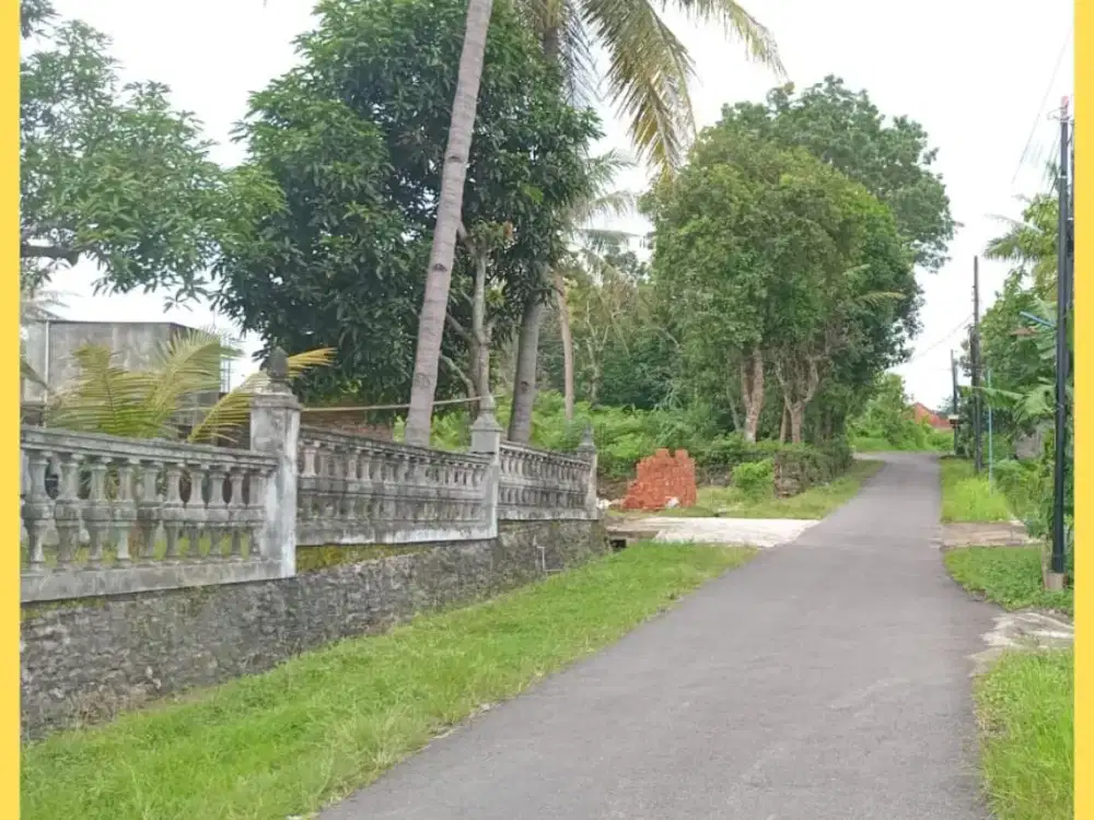 Tanah Jogja Balecatur SHM Pekarangan Siap AJB Notaris