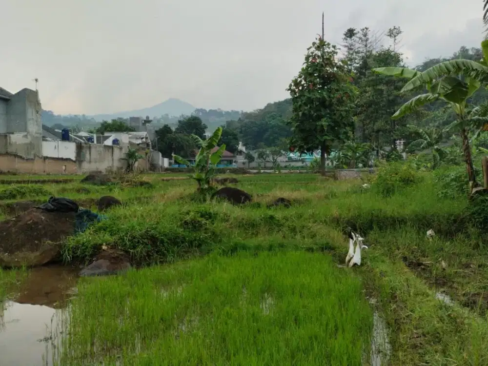 Tanah SHM 3.744 m² Dijual di Pasirjati Ujungberung Kota Bandung – Harga 3 Miliar