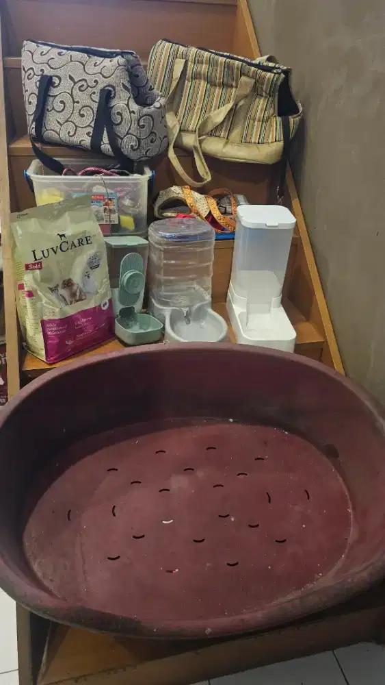 Perlengkapan Anjing Gratis