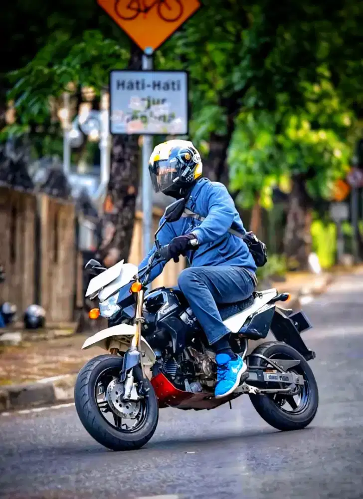 Kawasaki ninja rr new 2014