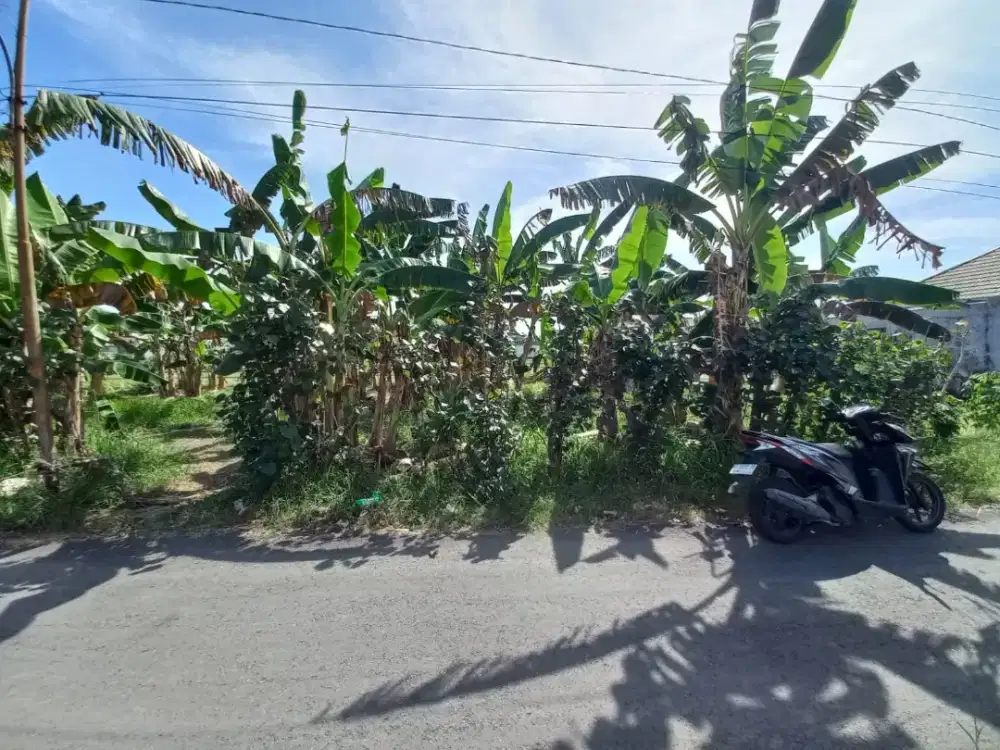 Tanah strategis dekat kampus UMS karangasem Solo