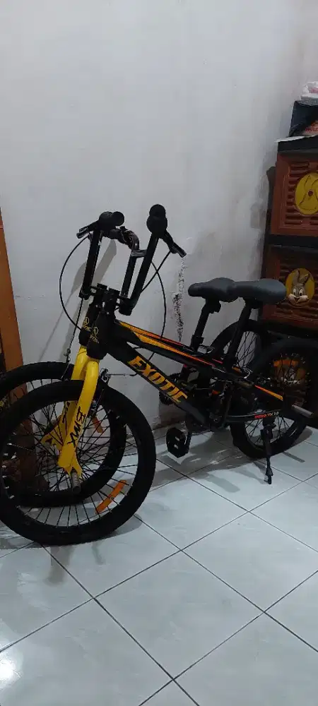 Sepeda Bmx exotic 20