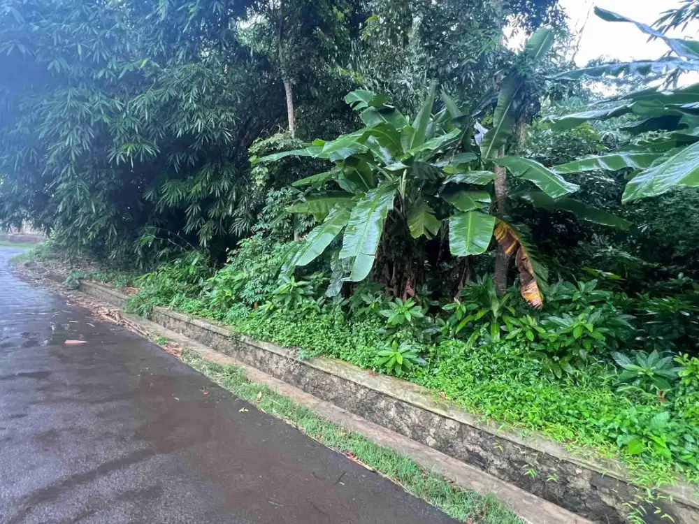 Tanah Curug Serang Banten  6389m2