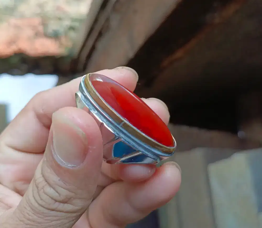 Pandan merah semu jamblang dimensi kantoran model tusuk gigi