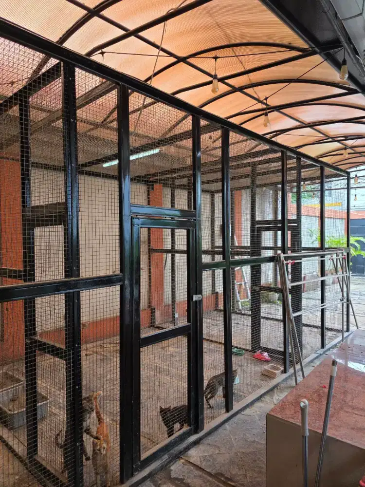 Kandang ternak kucing