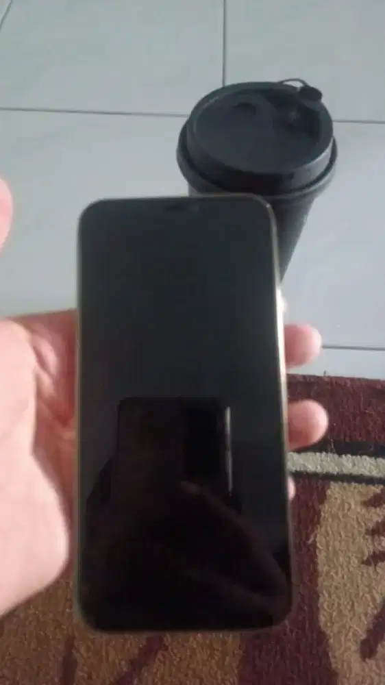 Ip 12 PRO 128GB INTER