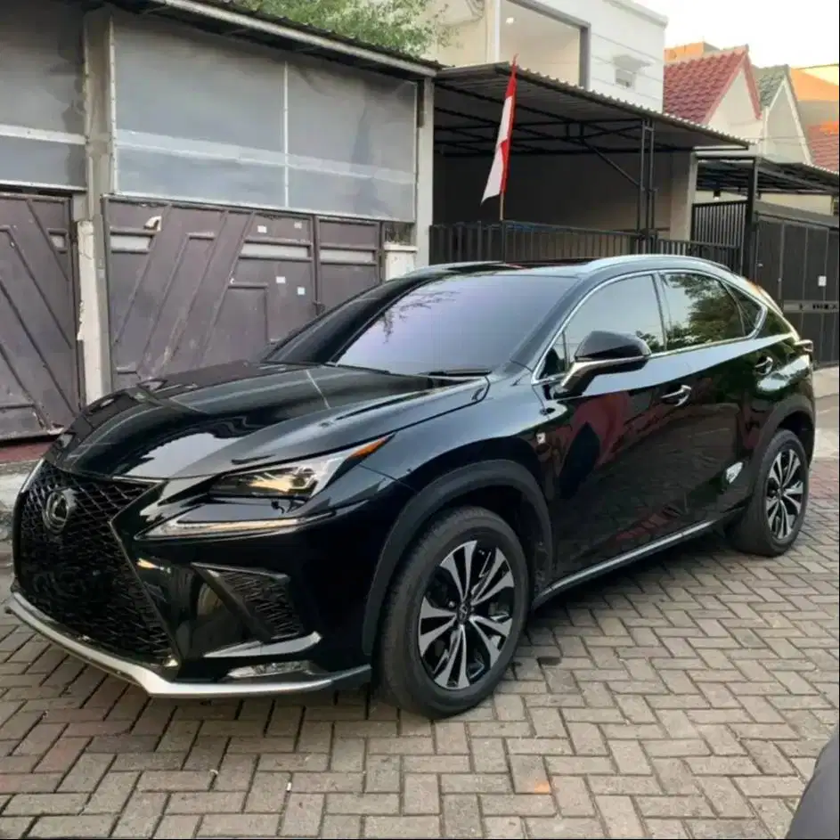 NX300 F-Sport 2018