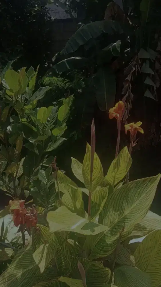 dicari therapist massage