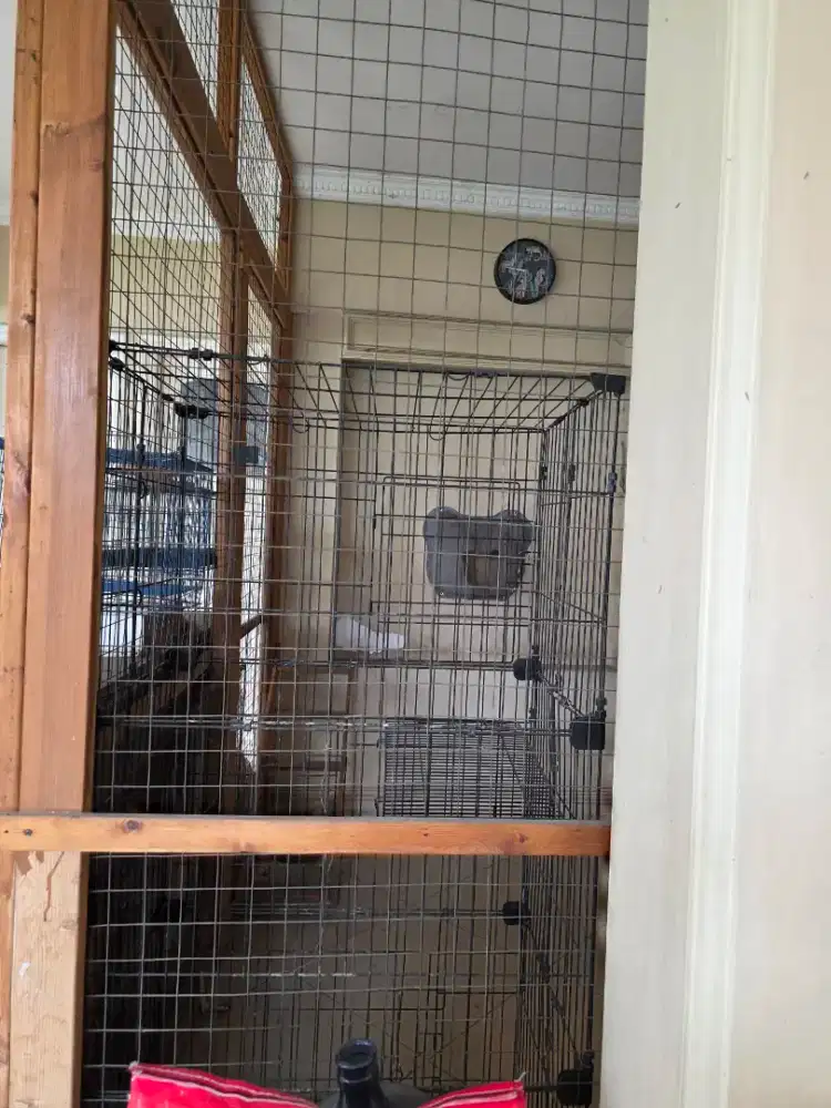 Kandang kucing kayu bagus