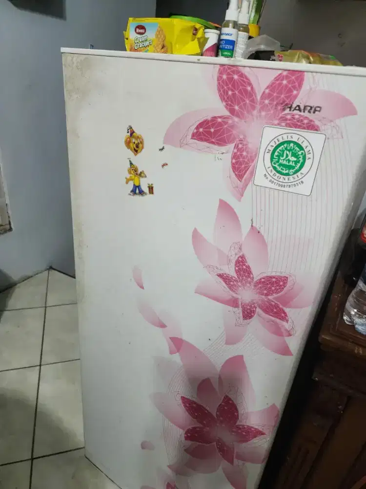 Kulkas Sharp Sakura 1 Pintu Mulus