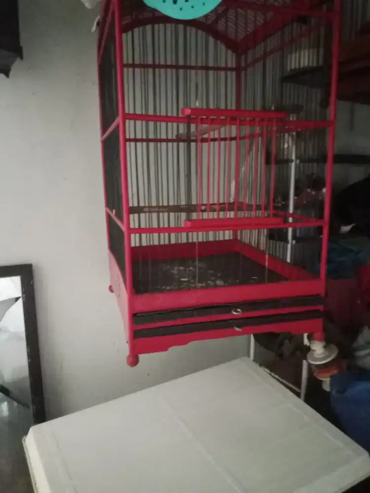 kandang burung no. 2 ebod jaya