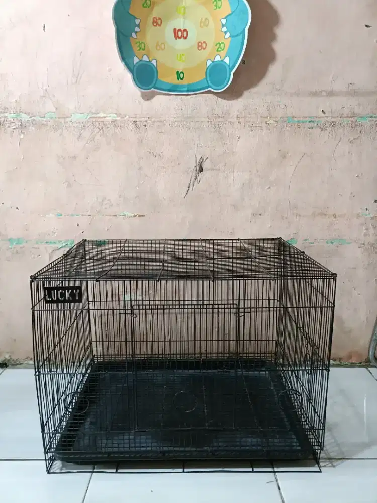 kandang untuk kucing