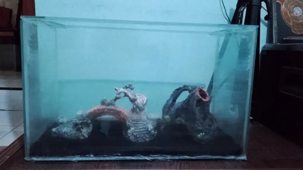 Aquarium bekas murmer