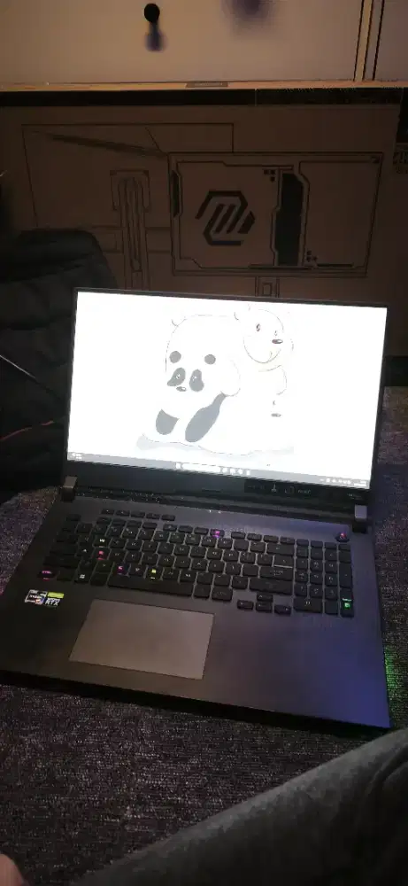 Lapto Asus Rog strix G17 (G713R)