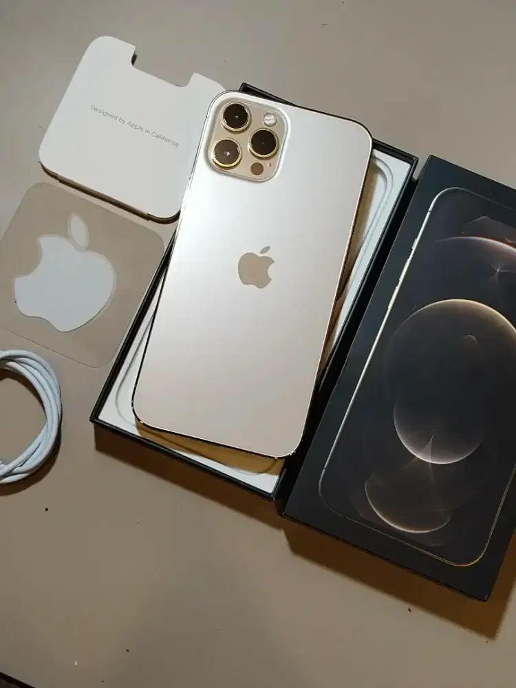 iPhone 12 Pro Max 256GB Gold WhiteList DUAL SIM NANO NANO