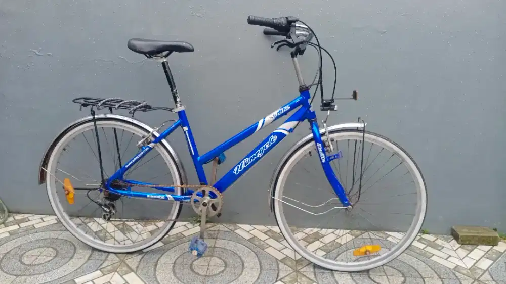 Sepeda City Bike Alloy