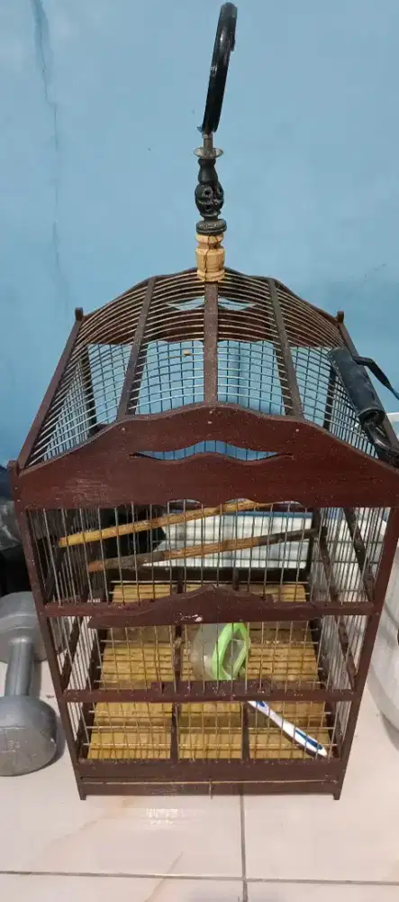 Sangkar burung Bekas