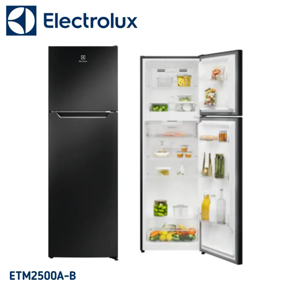 KULKAS ELEKTROLUX (ETM2500A-B)