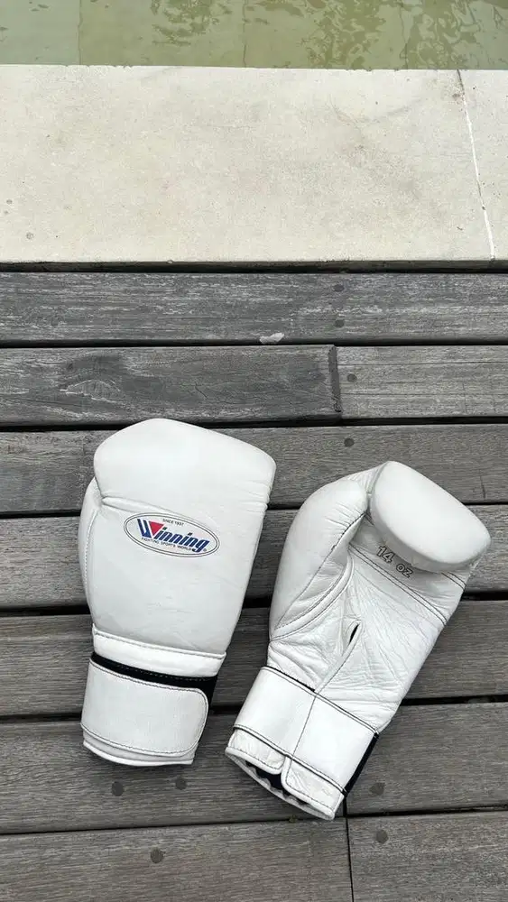 Winning Glove 14 Oz