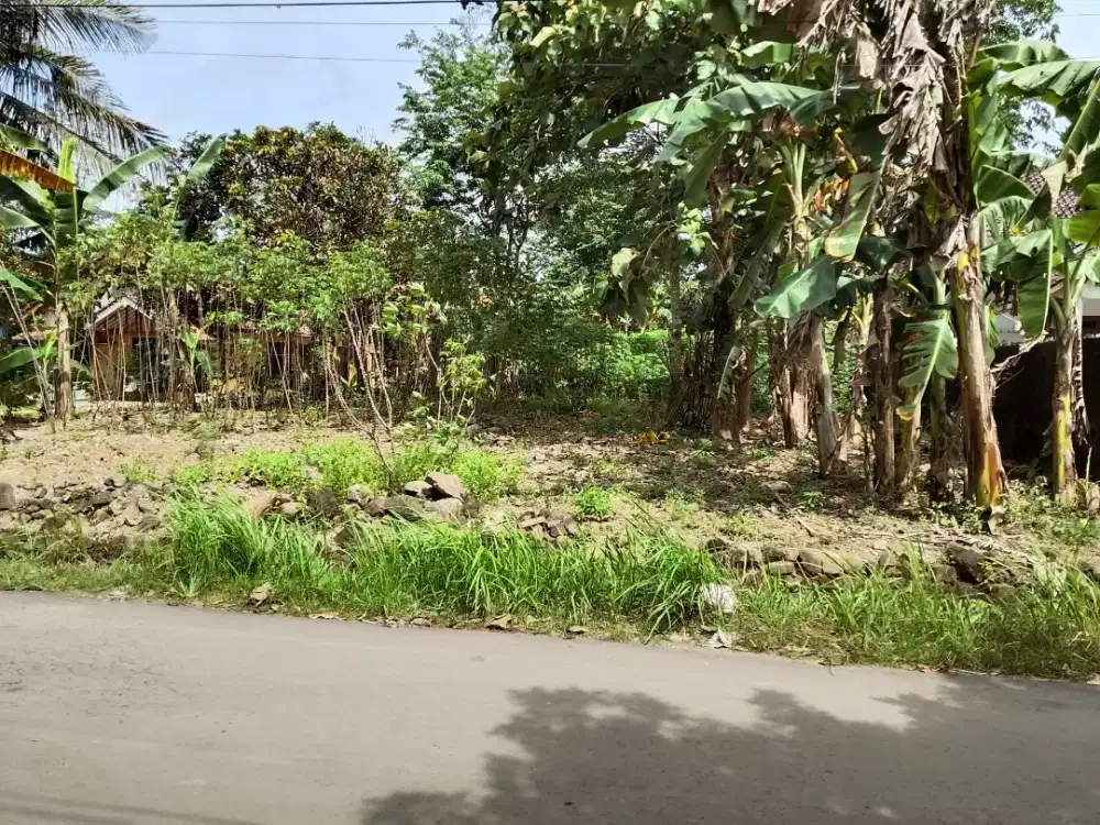 Dijual tanah milik pribadi tnpa perantaran luas 1.111,25m2 dipondasi