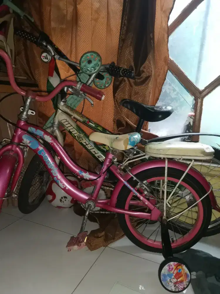 Jual sepeda anak