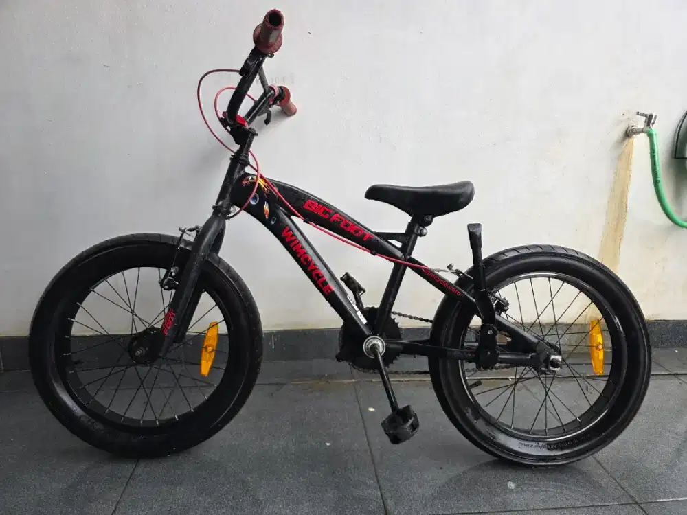 Sepeda Anak Wimcycle Big Foot 18
